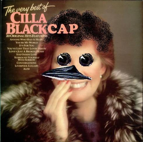 The Best Of Cilla Blackcap